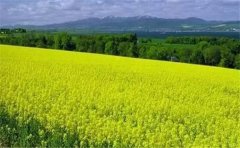 怎么用空氣負(fù)氧離子監(jiān)測系統(tǒng)？